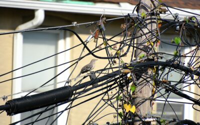 How much does an electrician cost to check wiring?