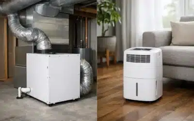 Whole House Dehumidifier vs Portable Units